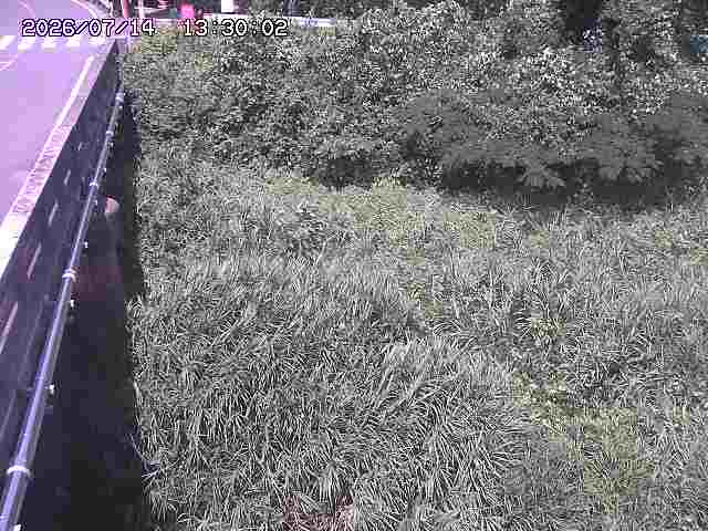 大江川１2026/07/14 15:20:00