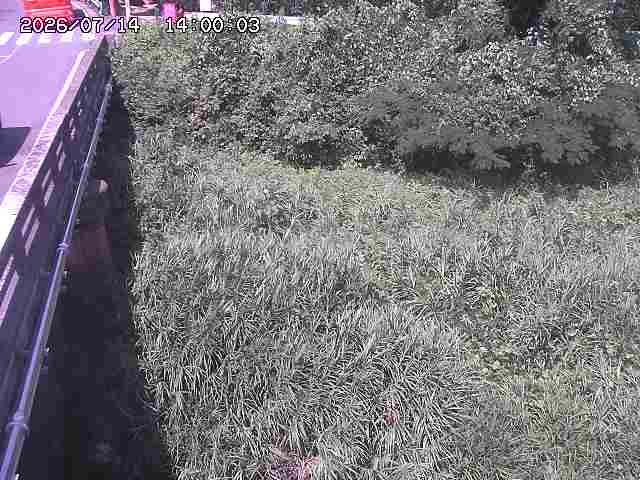 大江川１2026/07/14 15:20:00