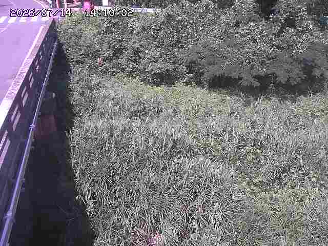 大江川１2026/07/14 15:20:00