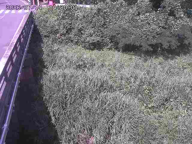 大江川１2026/07/14 15:20:00