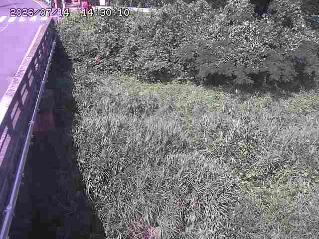 大江川１2026/07/14 15:20:00