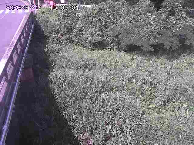 大江川１2026/07/14 15:20:00