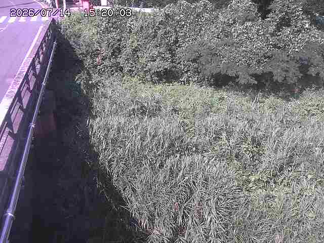 大江川１2026/07/14 15:20:00