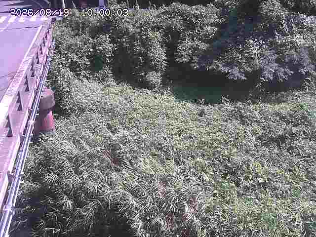 大江川１2026/08/20 8:20:00