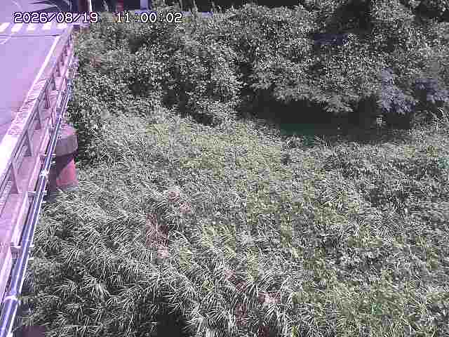 大江川１2026/08/20 8:20:00