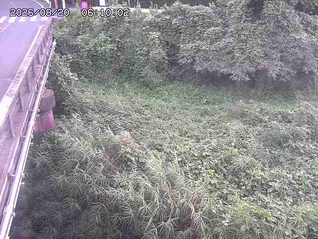 大江川１2026/08/20 8:20:00