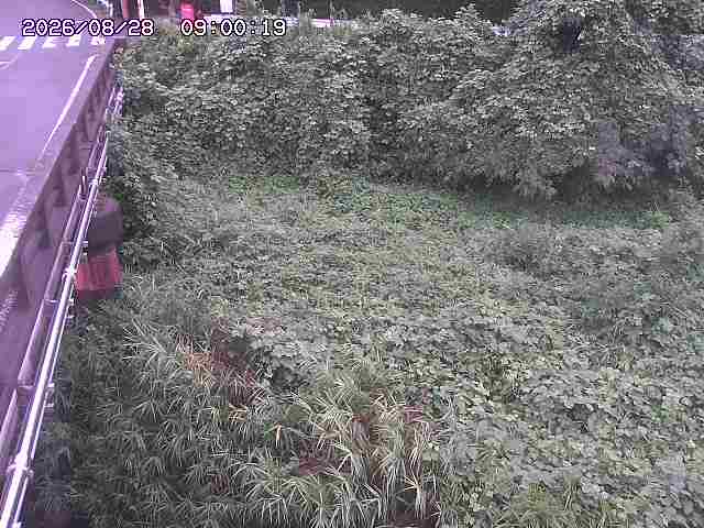 大江川１2026/08/28 17:30:00