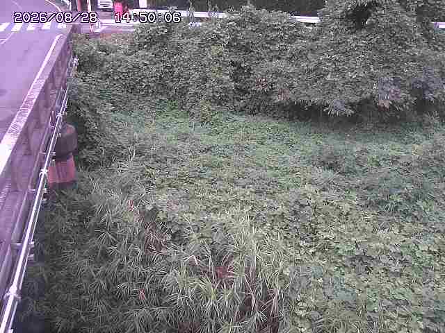 大江川１2026/08/28 17:30:00