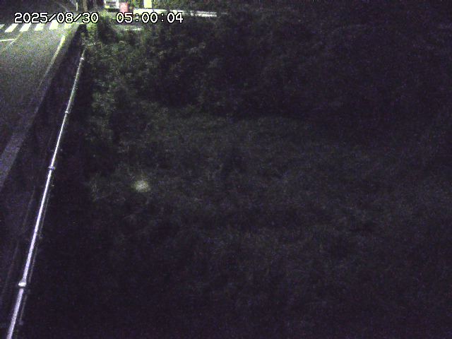 大江川１2025/08/31 0:50:00