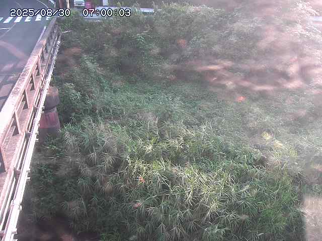 大江川１2025/08/31 0:50:00