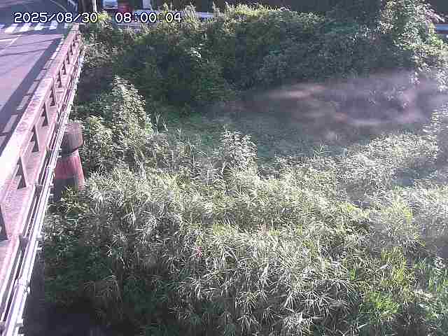 大江川１2025/08/31 0:50:00