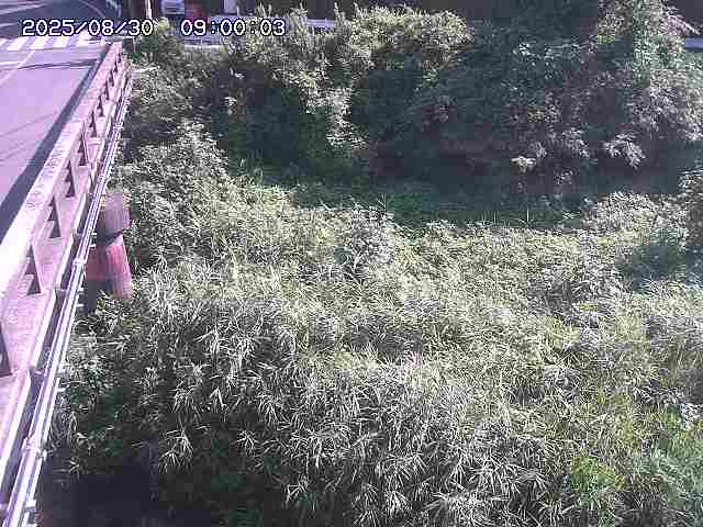 大江川１2025/08/31 0:50:00