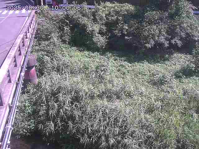 大江川１2025/08/31 0:50:00