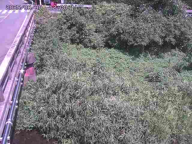大江川１2025/08/31 0:50:00