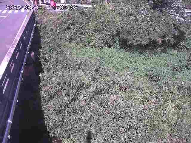 大江川１2025/08/31 0:50:00