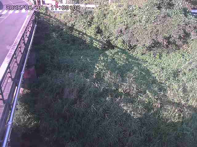 大江川１2025/08/31 0:50:00