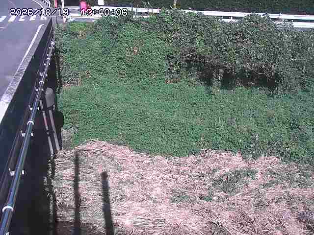 大江川１2026/10/13 14:30:00