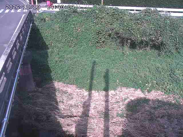 大江川１2026/10/13 14:30:00