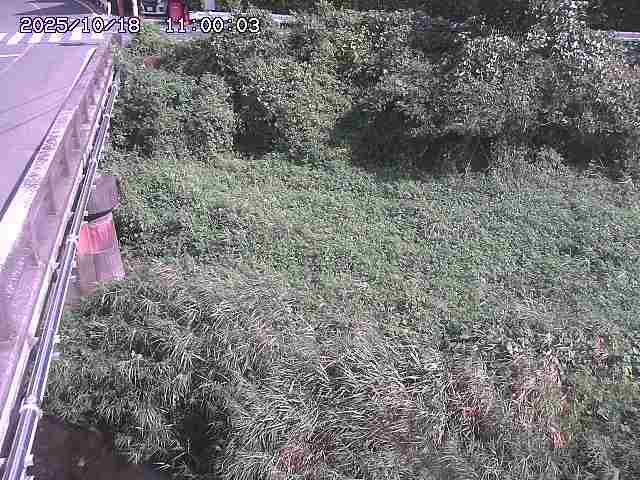 大江川１2025/10/18 20:20:00