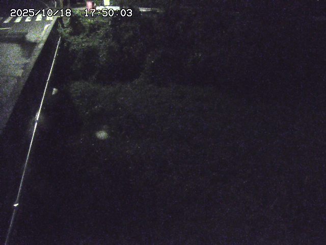 大江川１2025/10/18 20:20:00