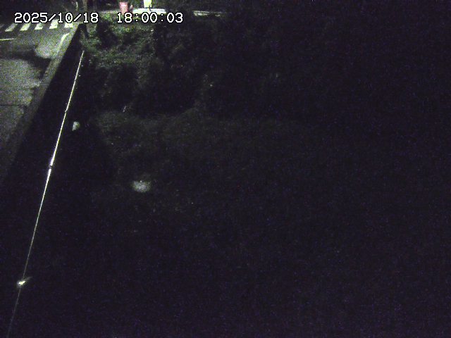 大江川１2025/10/18 20:20:00