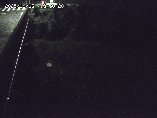 大江川１2025/10/18 20:20:00