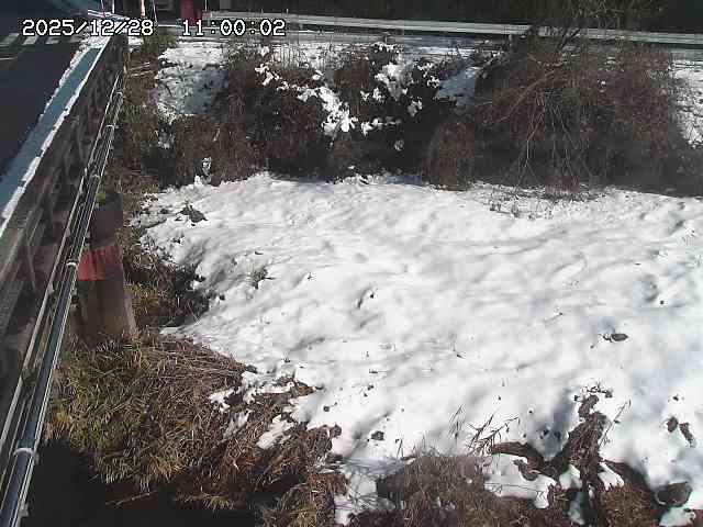 大江川１2025/12/29 9:50:00