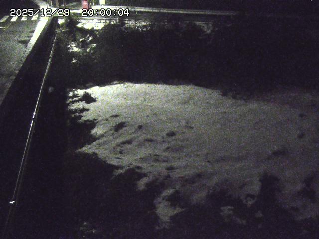 大江川１2025/12/29 9:50:00