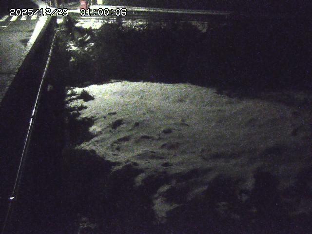 大江川１2025/12/29 9:50:00