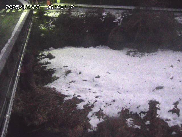 大江川１2025/12/29 9:50:00