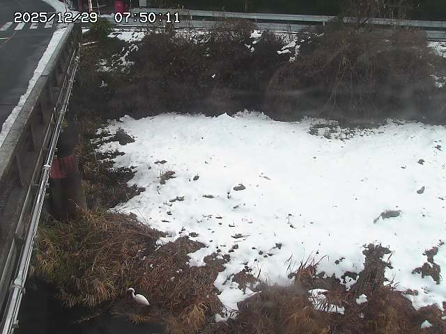 大江川１2025/12/29 9:50:00