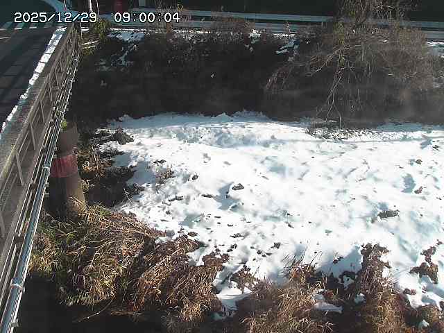 大江川１2025/12/29 9:50:00