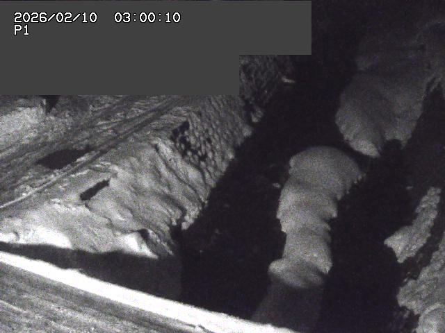 新興寺谷川１2026/02/11 3:00:00