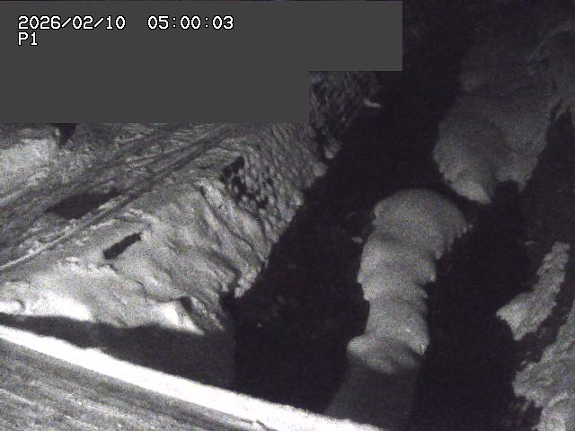 新興寺谷川１2026/02/11 3:00:00