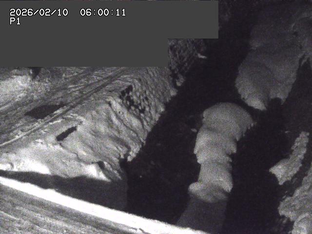 新興寺谷川１2026/02/11 3:00:00