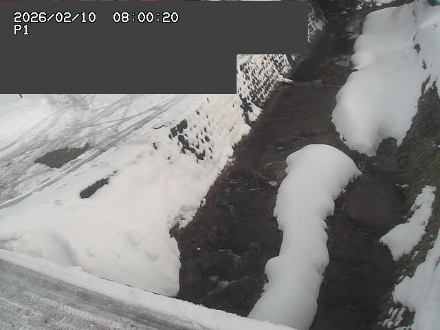新興寺谷川１2026/02/11 3:00:00