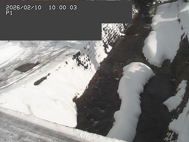 新興寺谷川１2026/02/11 3:00:00