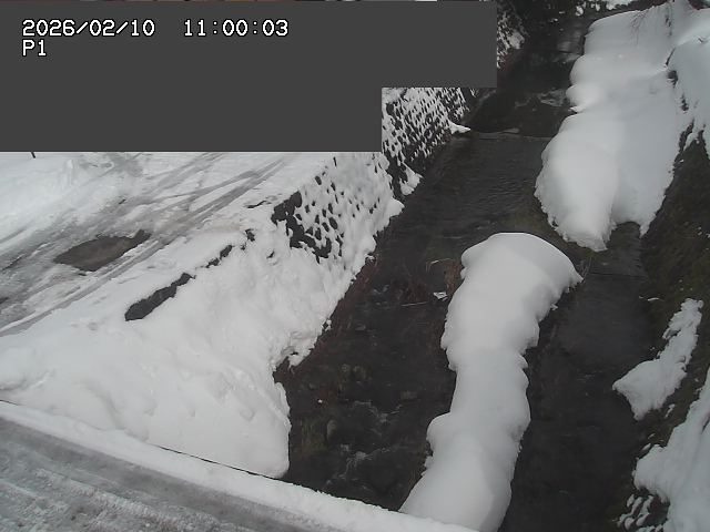 新興寺谷川１2026/02/11 3:00:00