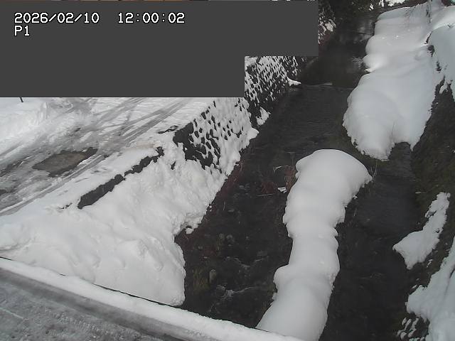 新興寺谷川１2026/02/11 3:00:00