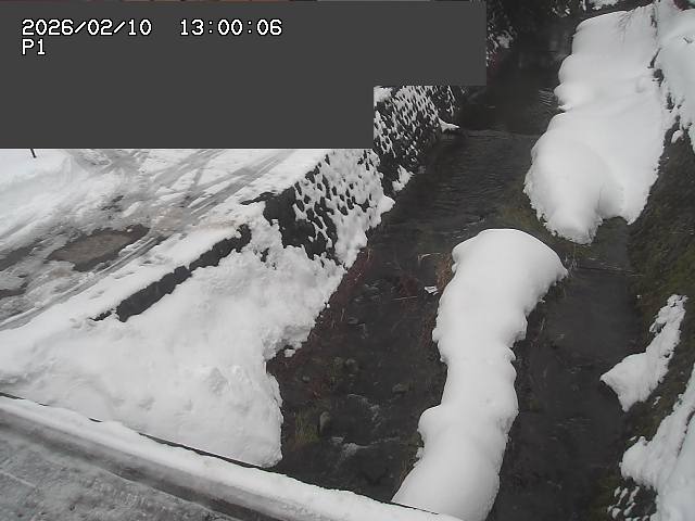 新興寺谷川１2026/02/11 3:00:00