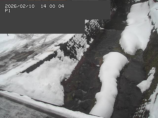 新興寺谷川１2026/02/11 3:00:00