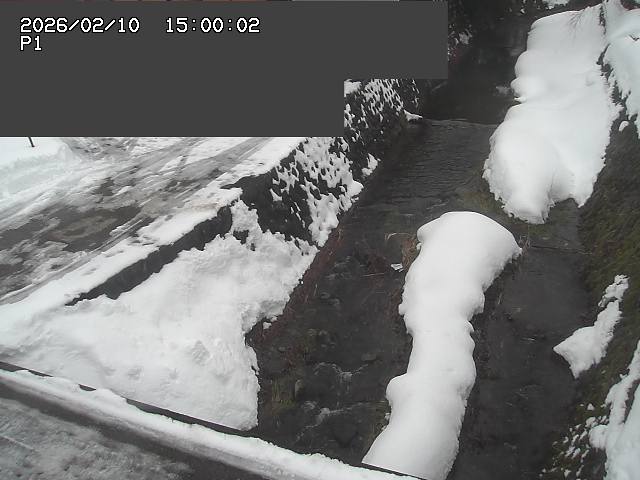 新興寺谷川１2026/02/11 3:00:00