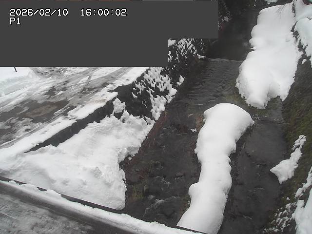 新興寺谷川１2026/02/11 3:00:00