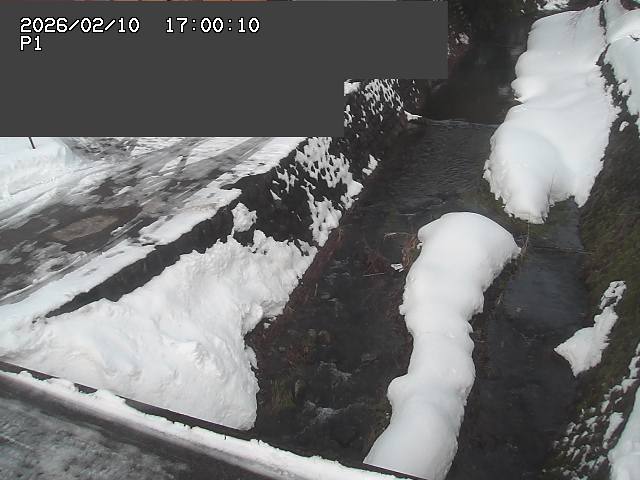 新興寺谷川１2026/02/11 3:00:00