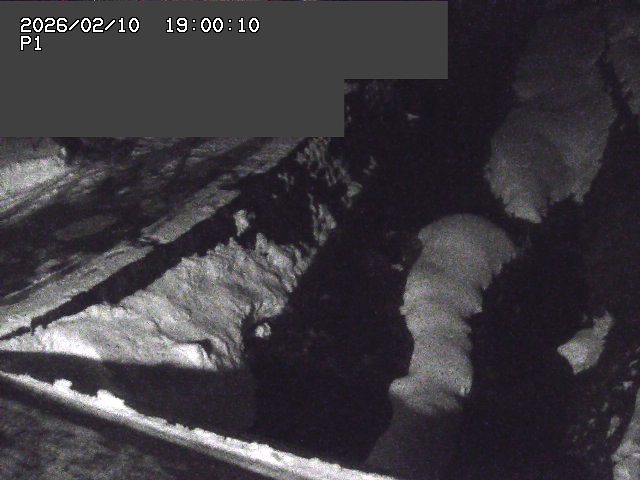 新興寺谷川１2026/02/11 3:00:00