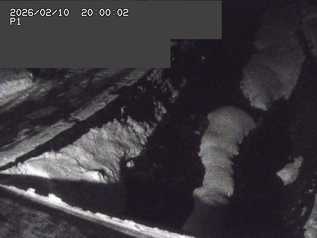 新興寺谷川１2026/02/11 3:00:00