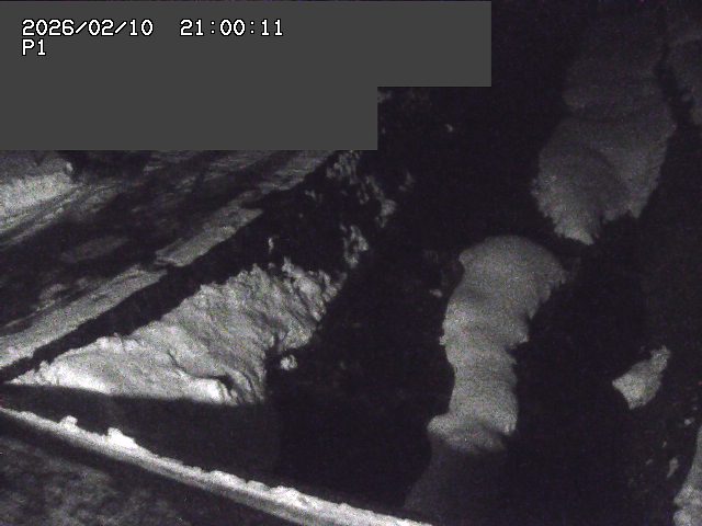 新興寺谷川１2026/02/11 3:00:00