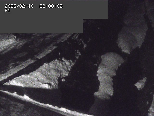 新興寺谷川１2026/02/11 3:00:00