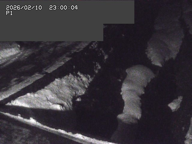 新興寺谷川１2026/02/11 3:00:00