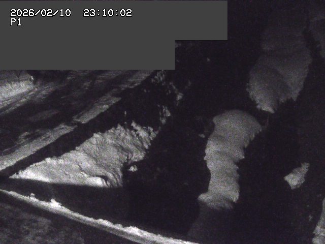 新興寺谷川１2026/02/11 3:00:00